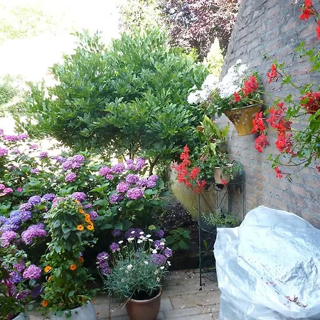 Bed & Breakfast Acacia Goirle