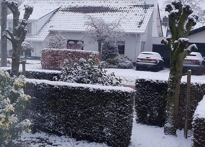 Bed & Breakfast Acacia *