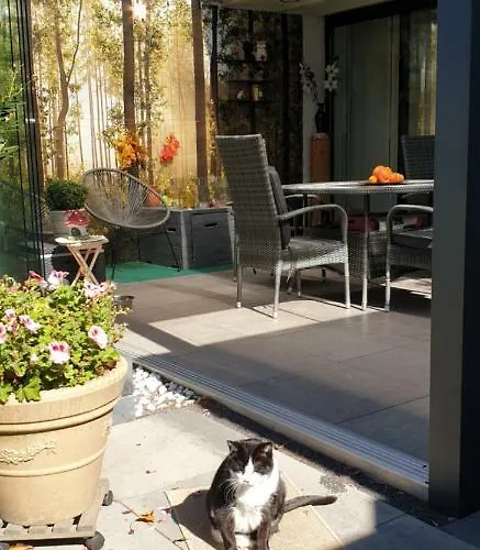 Acacia Bed and breakfast