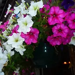 Acacia לינה וארוחת בוקר Goirle