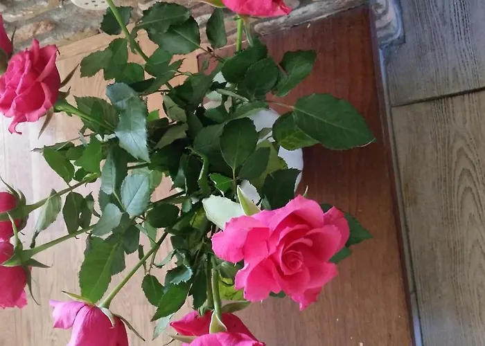 Bed & Breakfast Acacia Goirle