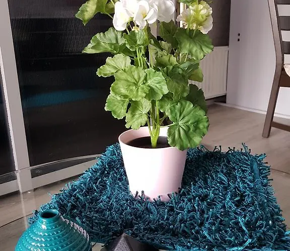 Acacia Bed & Breakfast Goirle